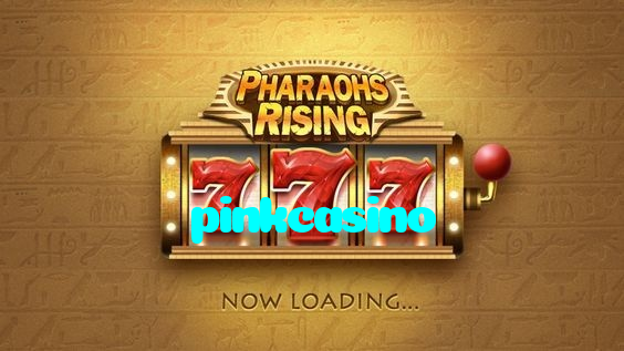 available types of pinkcasino bet including pre-match live express and system bets